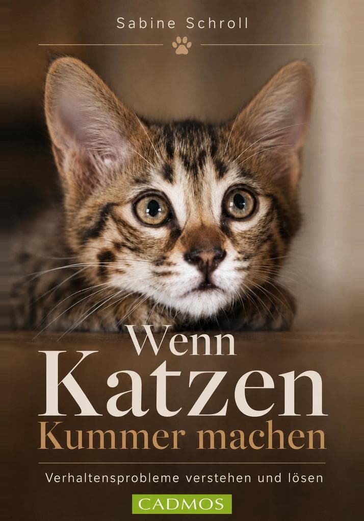 Wenn Katzen Kummer machen: Verhaltensprobleme verstehen und lösen