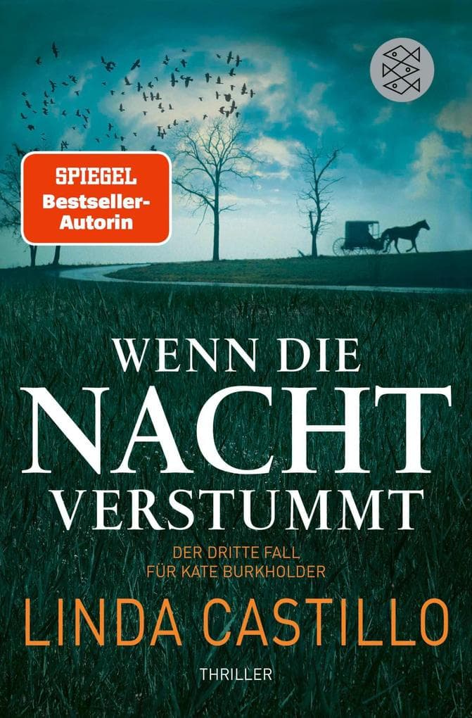 Wenn die Nacht verstummt: Thriller | Spannender Thriller bei den Amischen