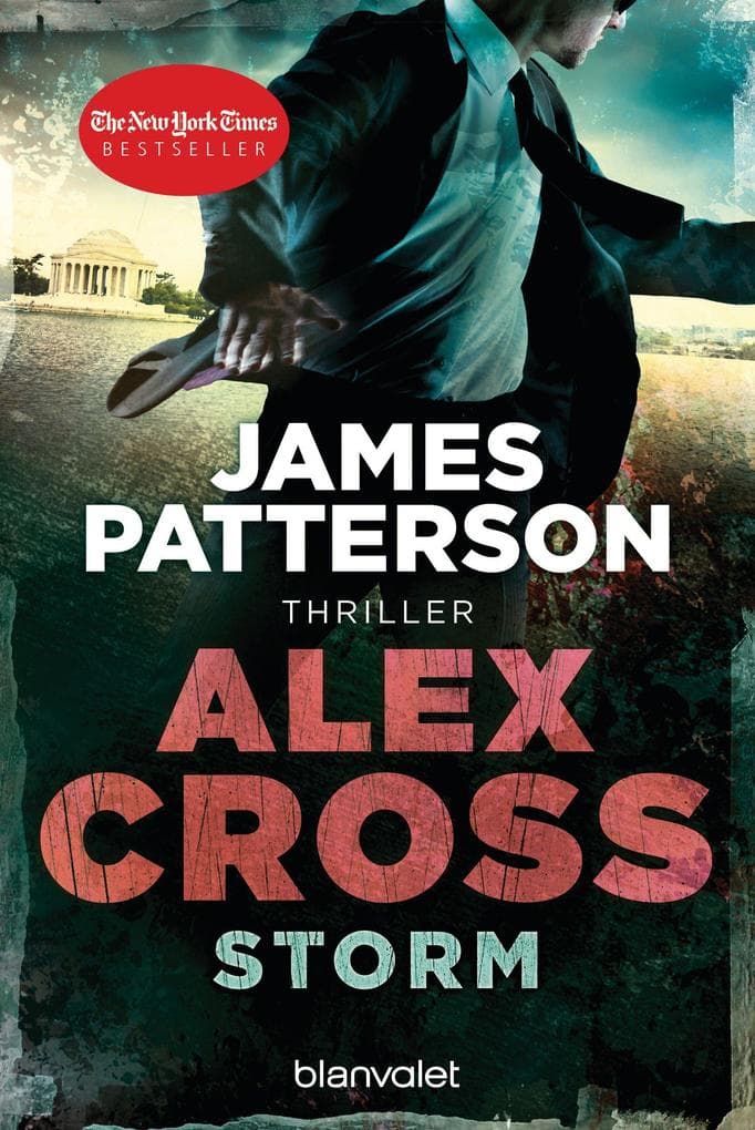 Storm - Alex Cross 16: Thriller