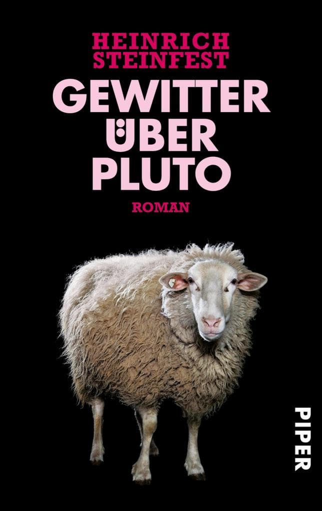 Gewitter über Pluto: Roman