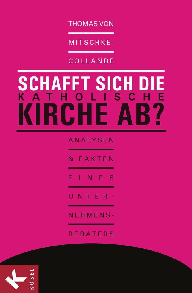 Schafft sich die katholische Kirche ab?: Analysen und Fakten eines Unternehmensberaters. Mit einem Vorwort von Kardinal Karl Lehmann