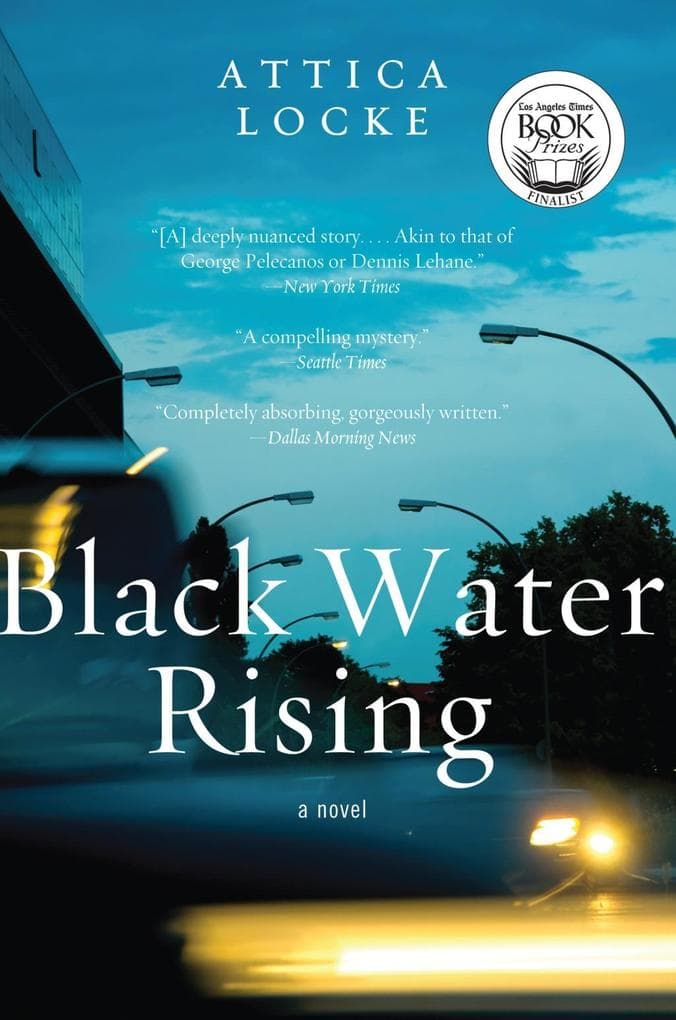 Black Water Rising: A Novel