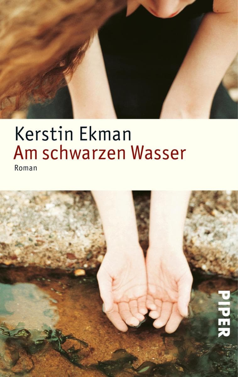 Am schwarzen Wasser: Roman