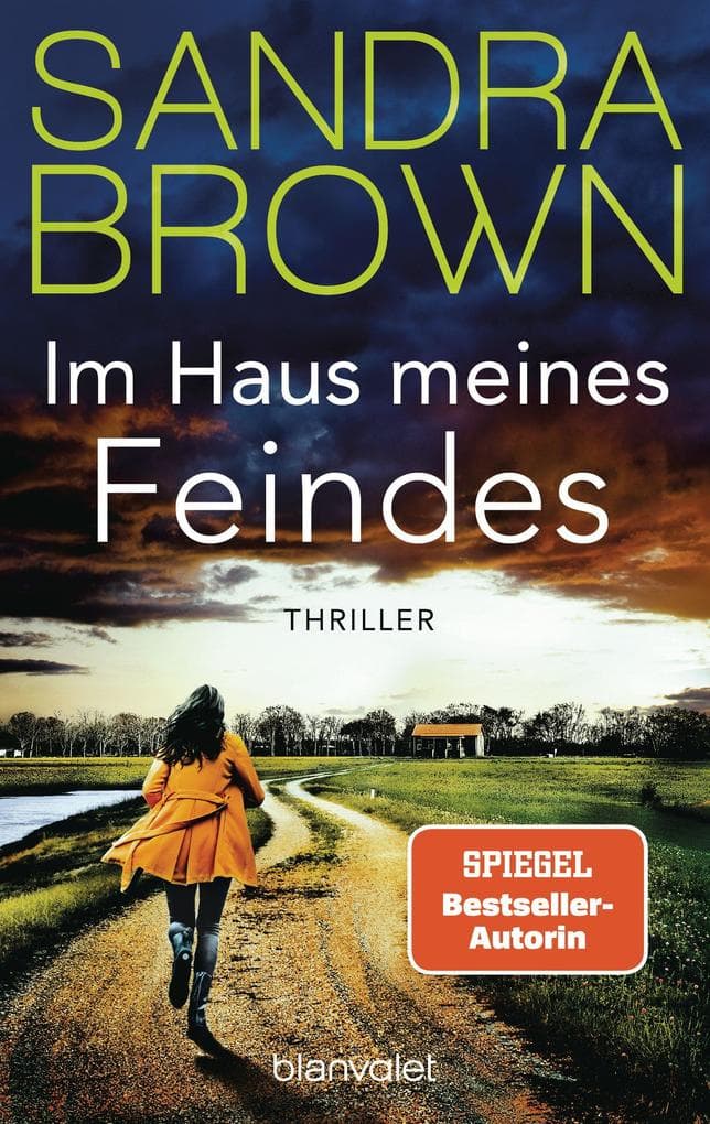 Im Haus meines Feindes: Roman