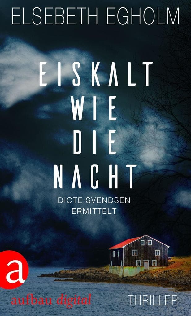 Eiskalt wie die Nacht: Dicte Svendsen ermittelt. Kriminalroman