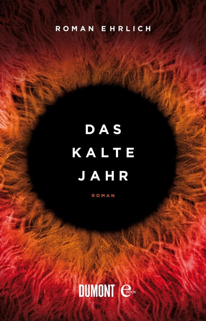 Das kalte Jahr: Roman
