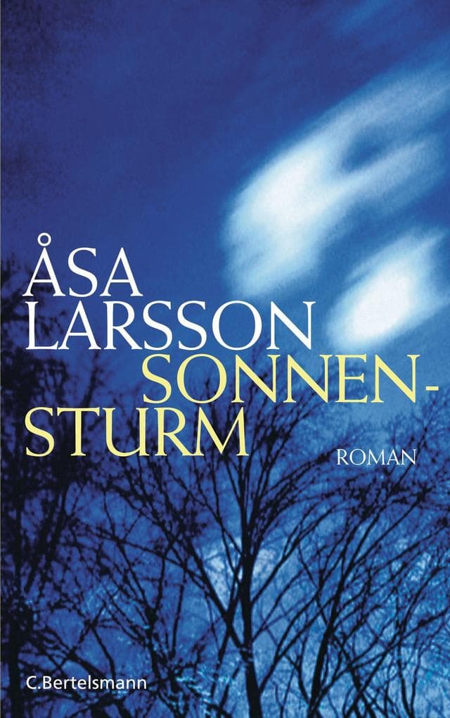 Sonnensturm: Roman. Die vielfach ausgezeichnete schwedische Krimi-Serie