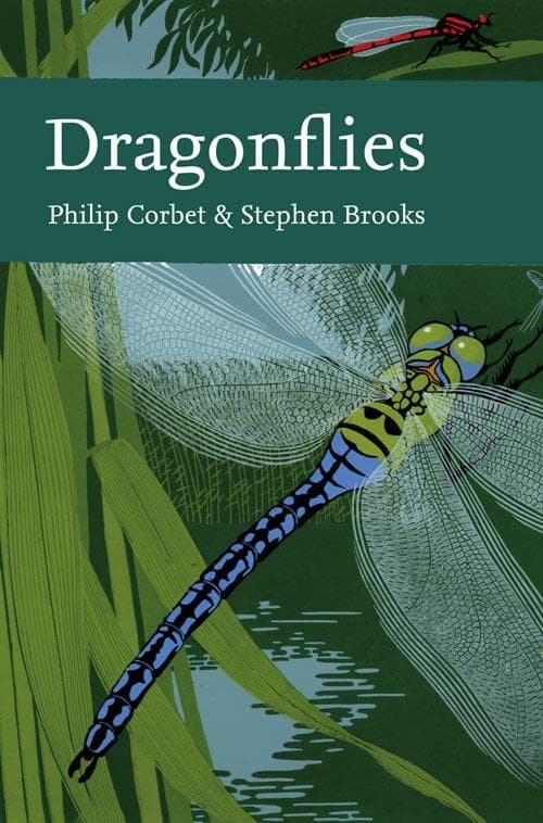Dragonflies