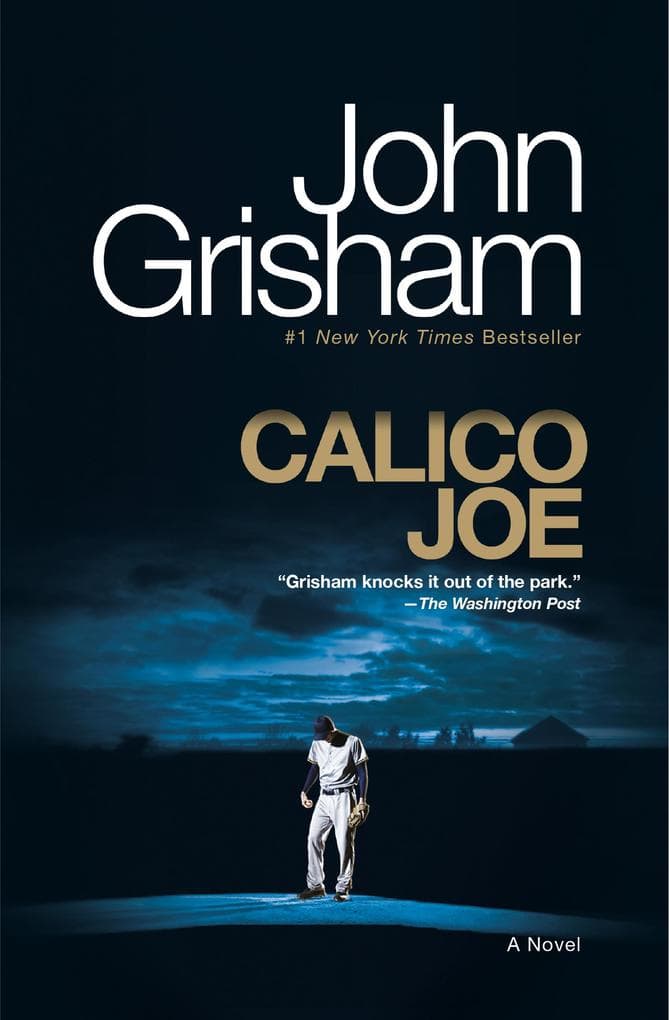 Calico Joe: A Novel
