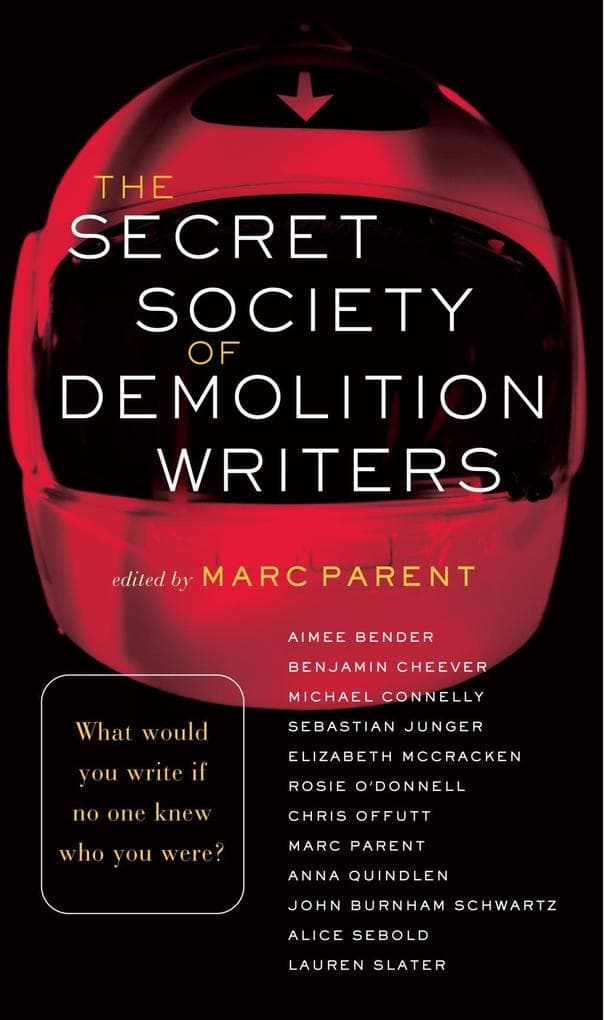 The Secret Society of Demolition Writers: Stories