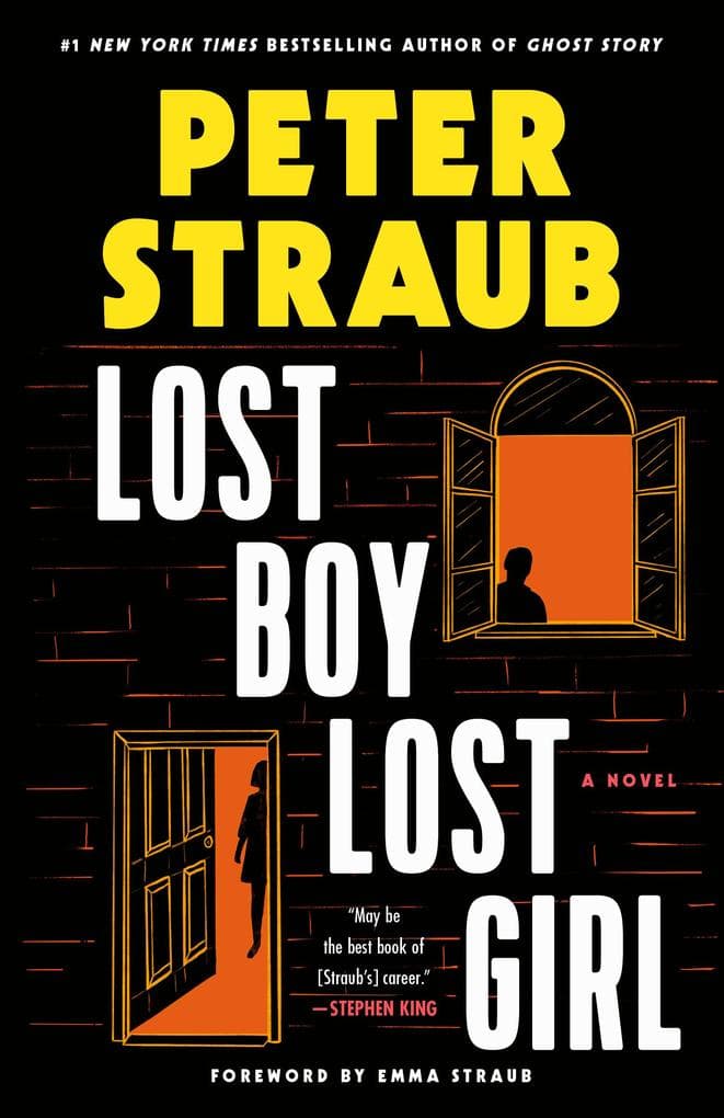 Lost Boy Lost Girl: A Novel