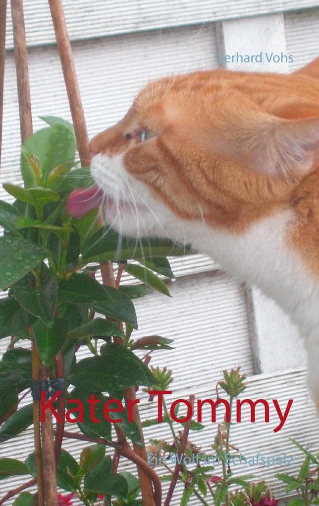 Kater Tommy: Ein Wolf im Schafspelz