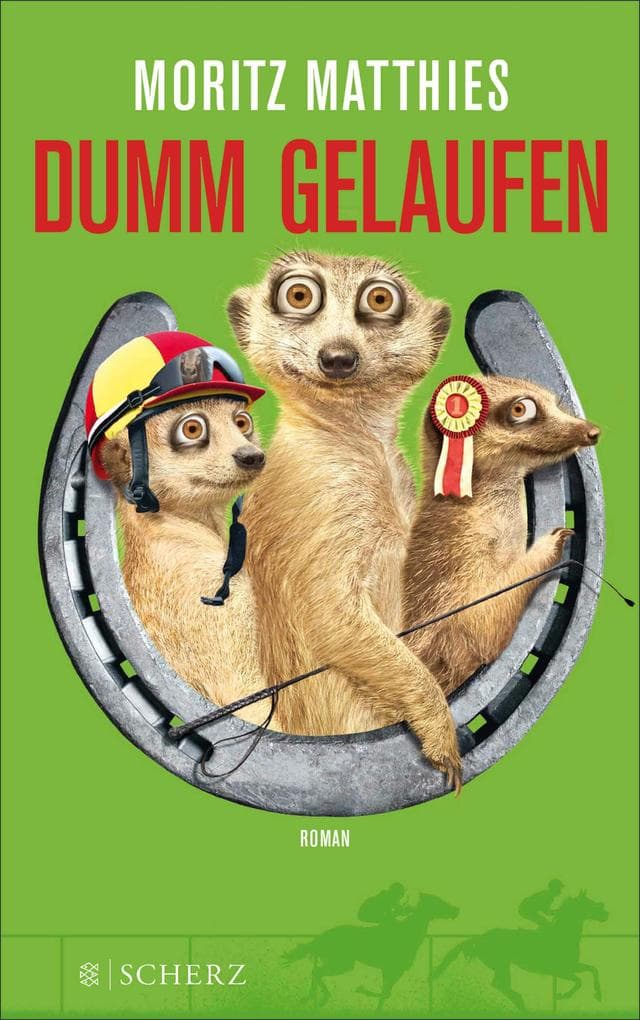 Dumm gelaufen: Roman