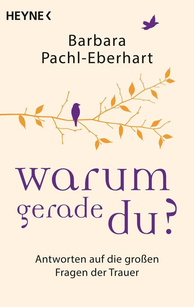 Warum gerade du?: Persönliche Antworten auf die großen Fragen der Trauer