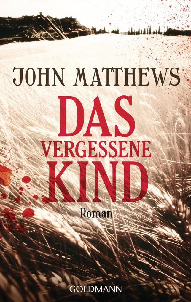 Das vergessene Kind: Roman