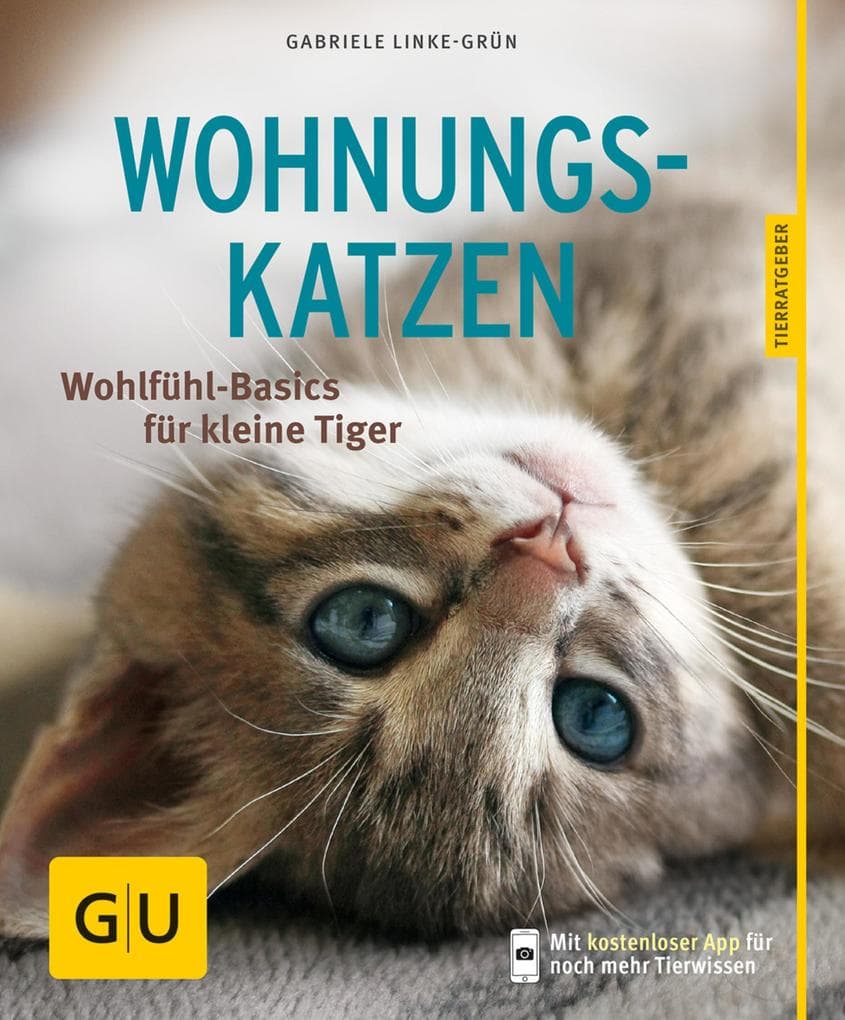 Wohnungskatzen: So fühlen sie sich rundum wohl