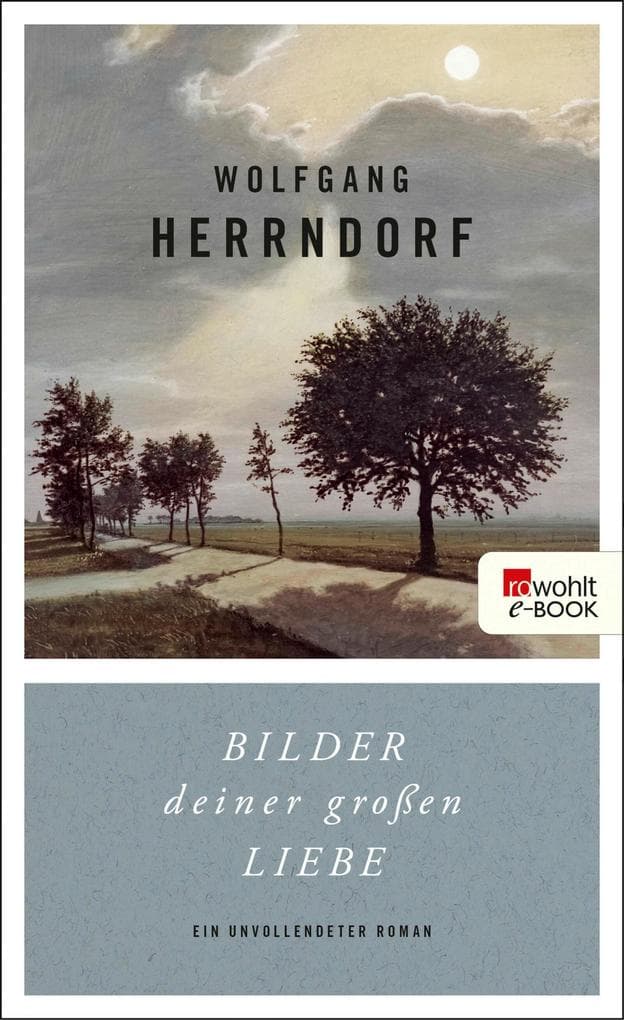 Bilder deiner großen Liebe: Ein unvollendeter Roman