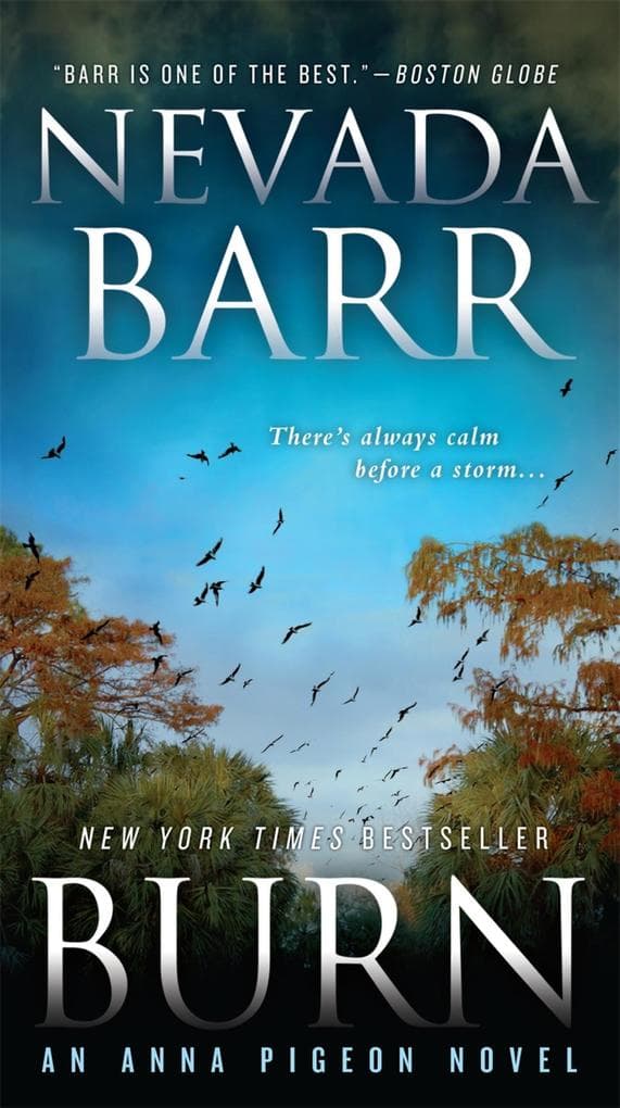 Burn (Anna Pigeon Mysteries, Book 16): A spellbinding mystery of New Orleans
