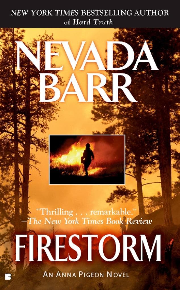 Firestorm (Anna Pigeon Mysteries, Book 4): A riveting crime thriller