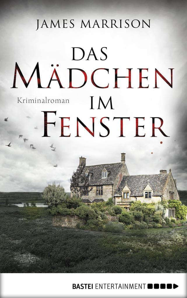 Das Mädchen im Fenster: Kriminalroman