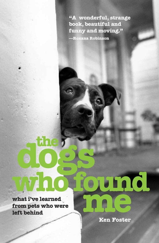 The Dogs Who Found Me: What I've Learned from Pets Who Were Left Behind