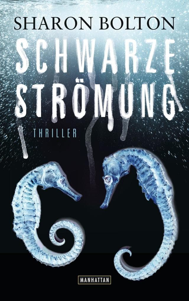 Schwarze Strömung - Lacey Flint 4: Thriller
