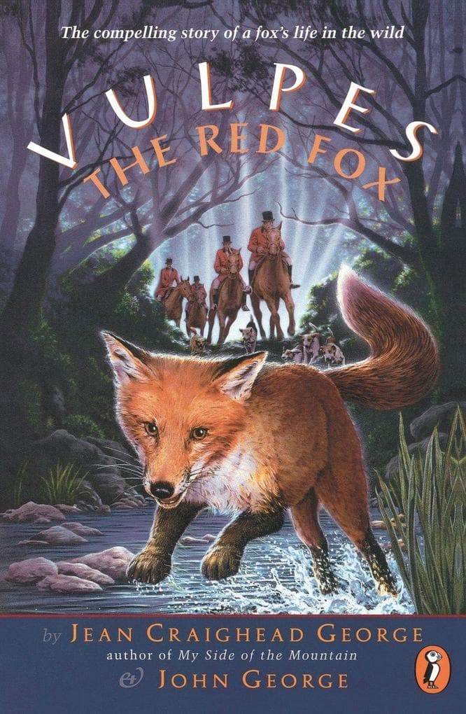 Vulpes, the Red Fox