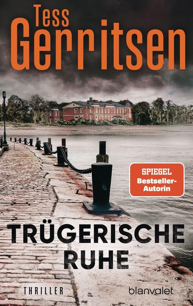 Trügerische Ruhe: Roman