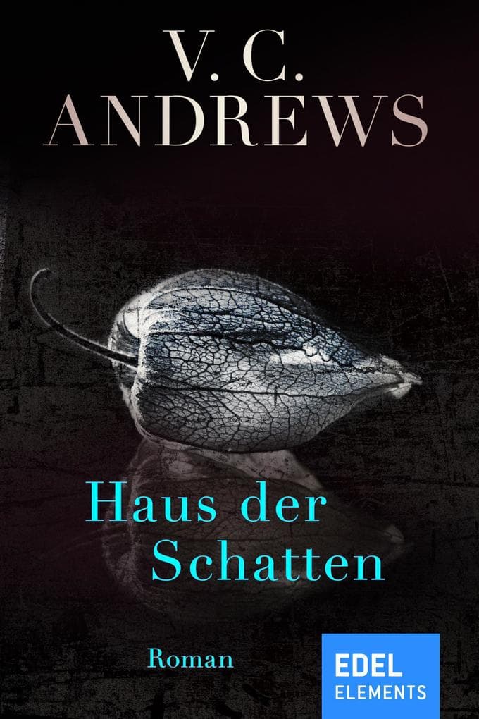 Haus der Schatten: Roman