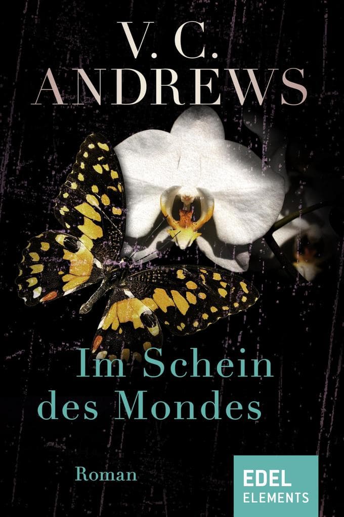 Im Schein des Mondes: Roman