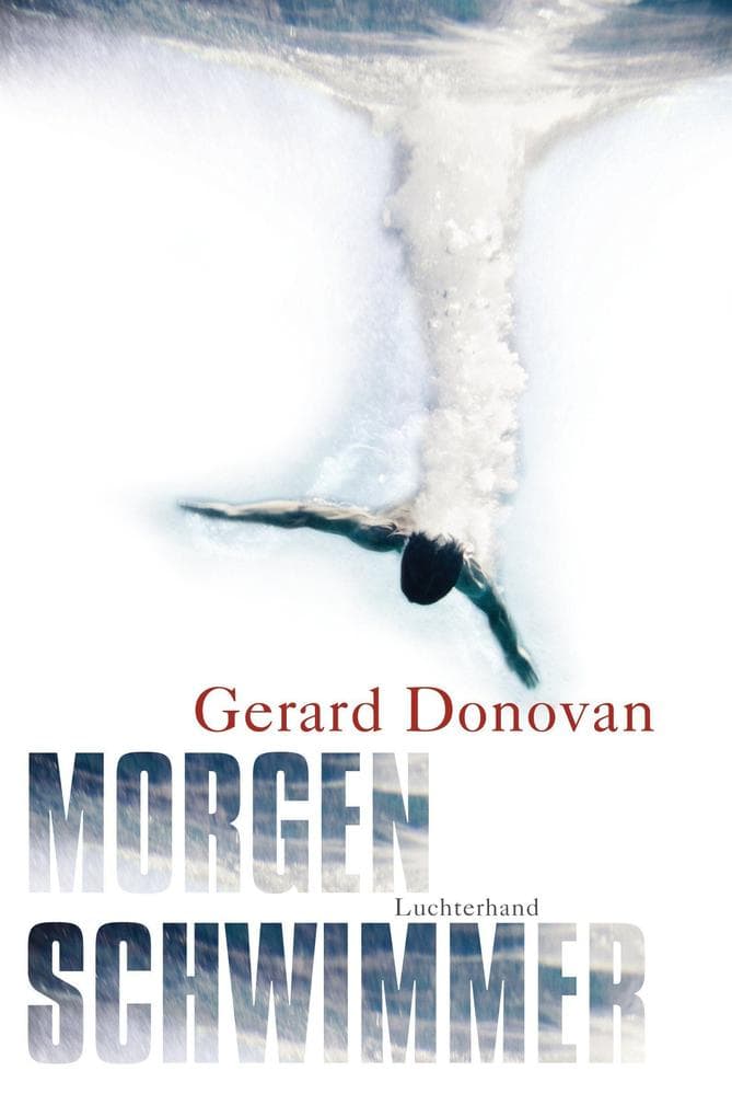 Morgenschwimmer: Irische Geschichten