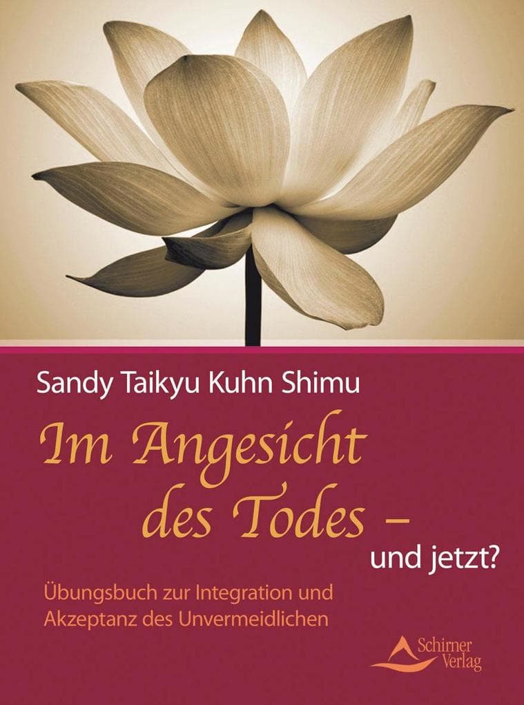 Im Angesicht des Todes - und jetzt?: Übungsbuch zur Integration und Akzeptanz des Unvermeidlichen