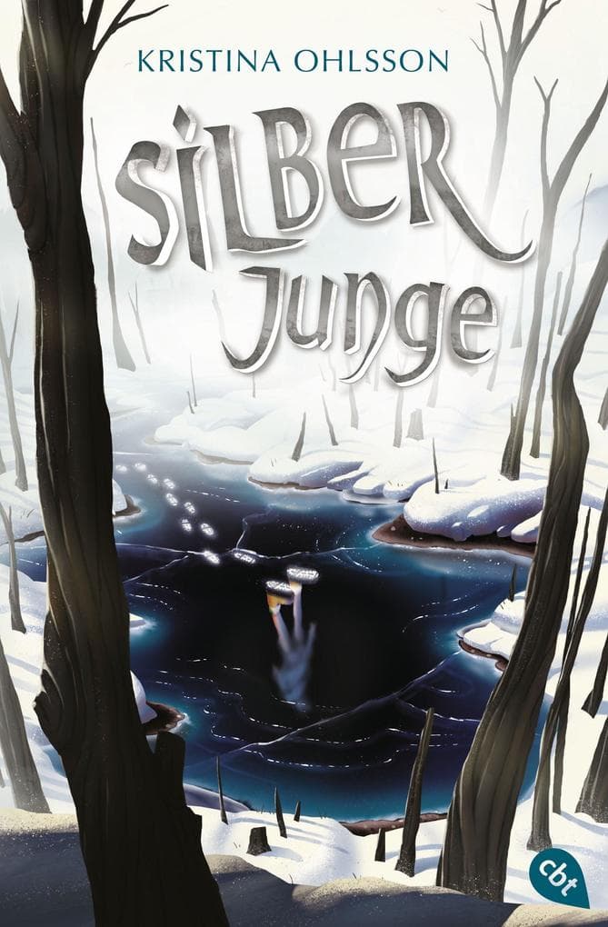 Silberjunge: Band 2