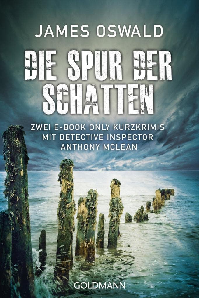 Die Spur der Schatten: Zwei E-Book Only Kurzkrimis mit Detective Inspector Anthony McLean