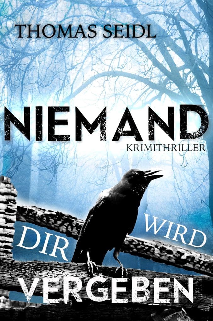 Niemand wird dir vergeben: Krimithriller