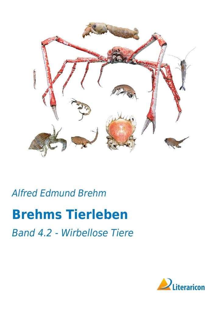Brehms Tierleben: Band 4.2 - Wirbellose Tiere