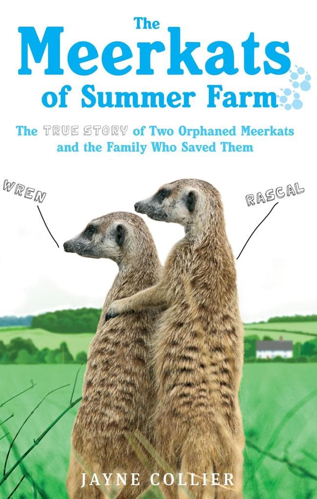 The Meerkats Of Summer Farm: The True Story of Two Orphaned Meerkats and the Family Who Saved Them