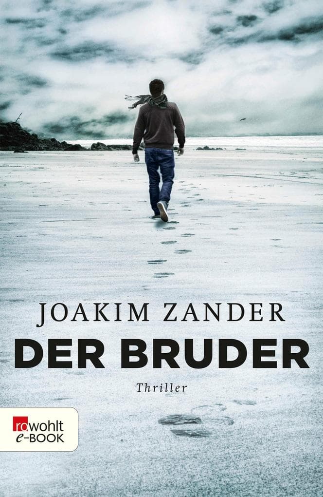 Der Bruder: Thriller aus Schweden