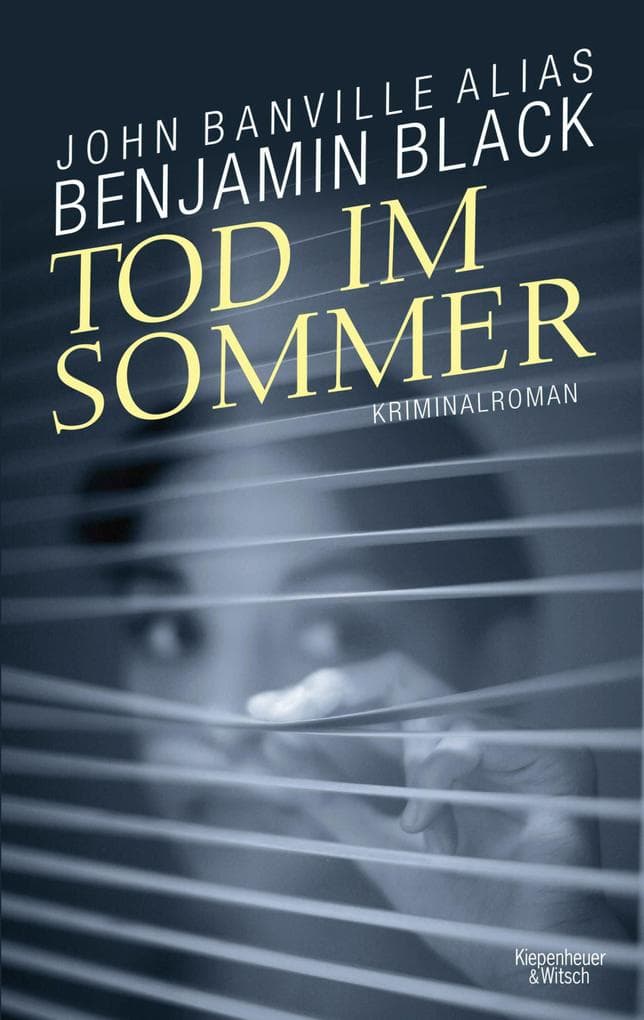 Tod im Sommer: Kriminalroman aus Dublin