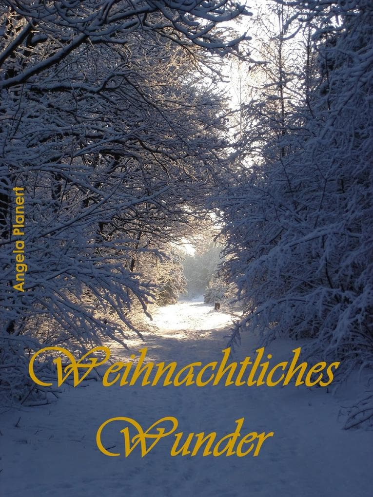 Weihnachtliches Wunder: Eine weihnachtliche Kurzgeschichte