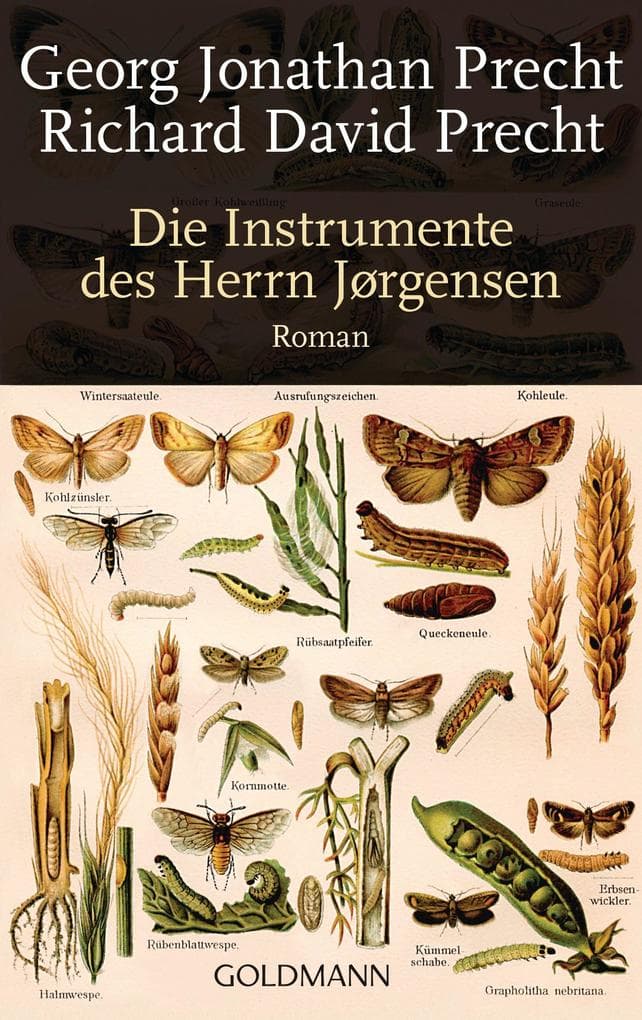 Die Instrumente des Herrn Jørgensen: Roman
