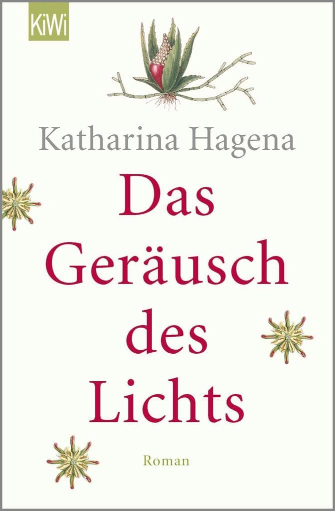 Das Geräusch des Lichts: Roman