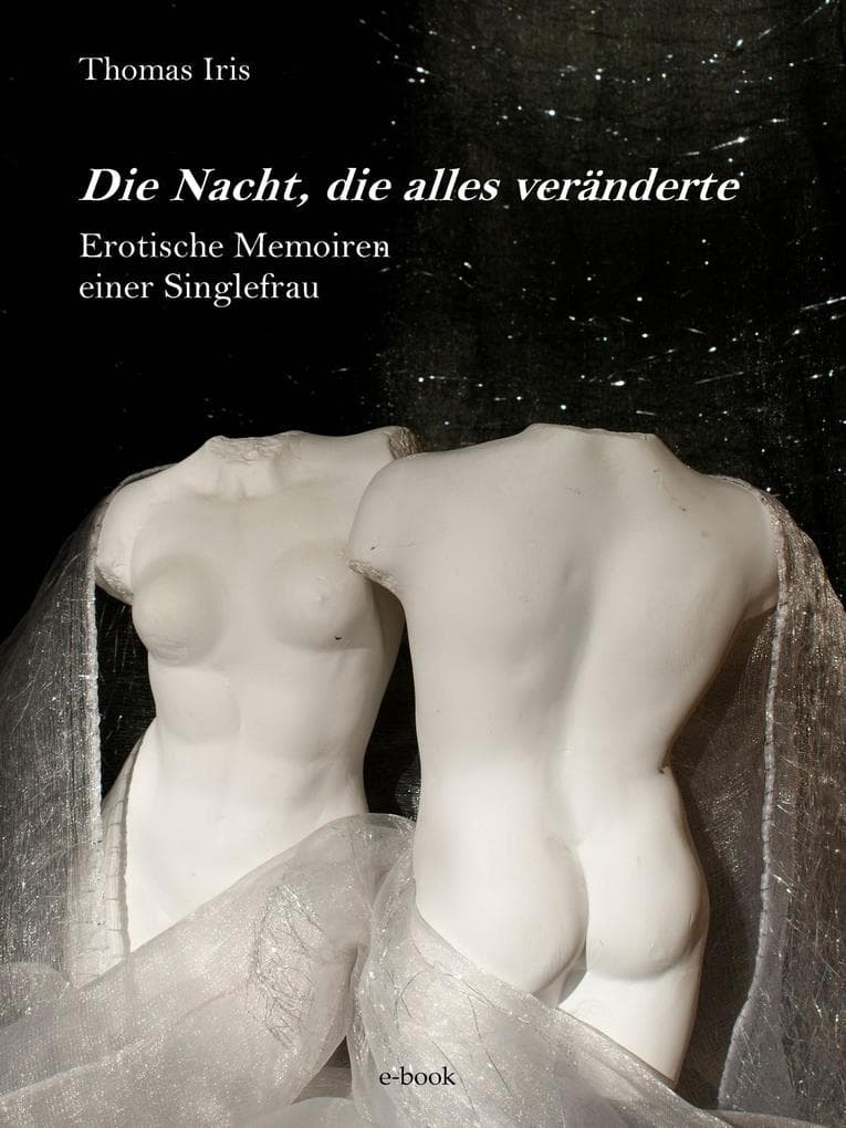 Die Nacht, die alles veränderte: Erotische Memoiren aus dem Leben einer Singlefrau