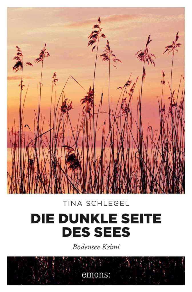 Die dunkle Seite des Sees: Bodensee Krimi