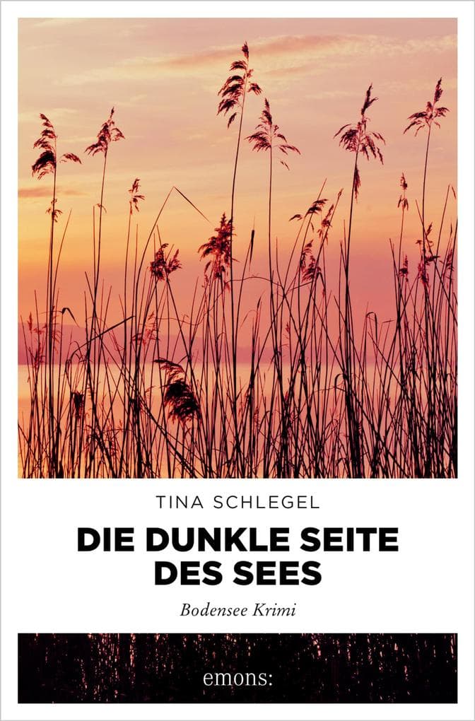 Die dunkle Seite des Sees: Bodensee Krimi