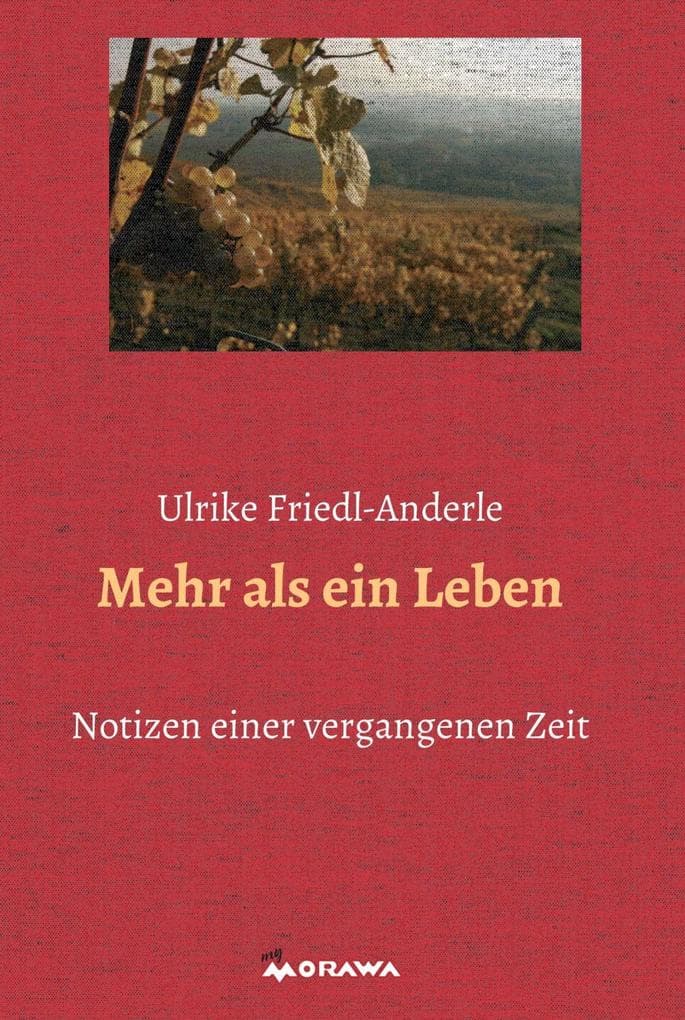 Mehr als ein Leben: Notizen aus einer vergangenen Zeit