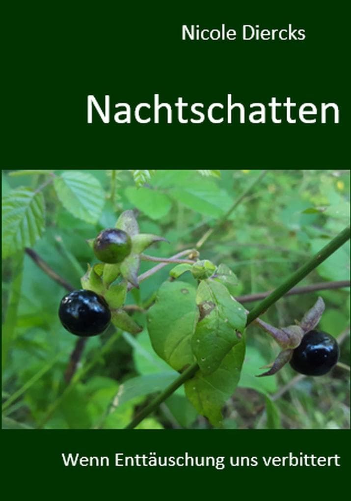 Nachtschatten: Wenn Enttäuschung uns verbittert