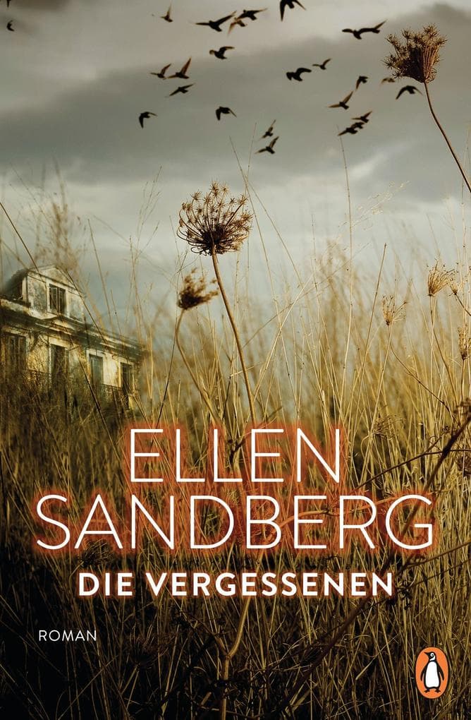 Die Vergessenen: Roman