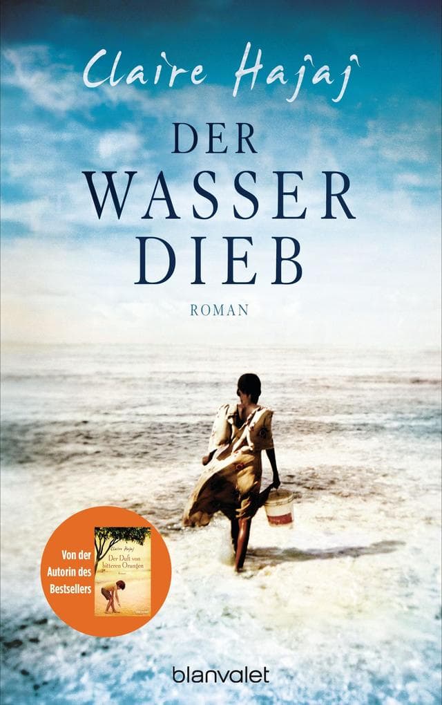 Der Wasserdieb: Roman