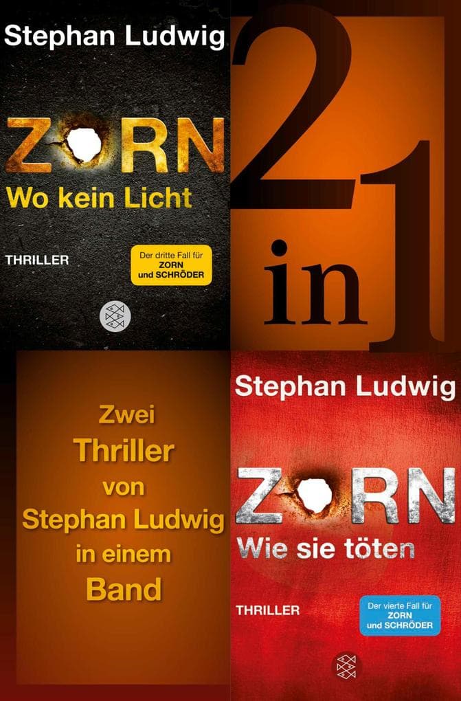 Wo kein Licht / Wie sie töten - Zwei Zorn-Thriller in einem Band: eBundle. ebook Ausgabe